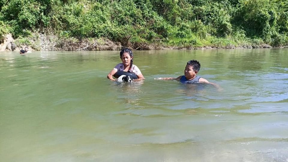 Ronglee Homestay Vacation rental in West Bengal