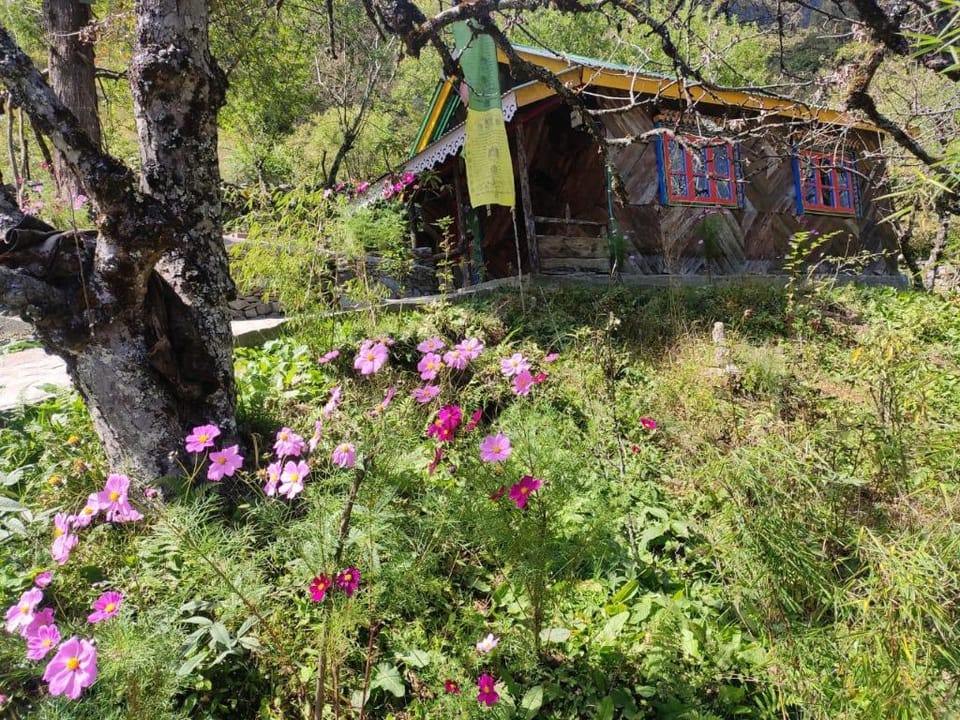 Khemsa homestay Vacation rental in India