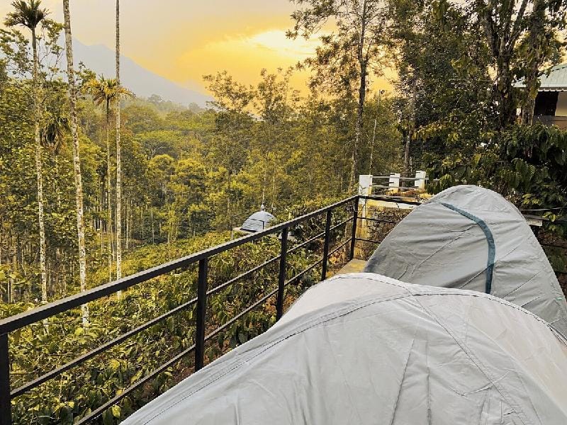 Camping In View of Chempra peak At Beautiful Sport Vacation rental in Kerala