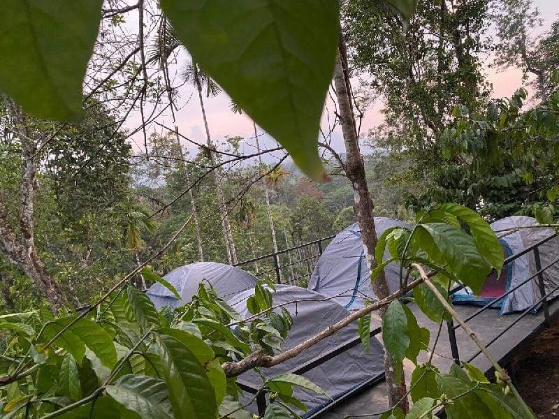 Camping In View of Chempra peak At Beautiful Sport Vacation rental in Kerala