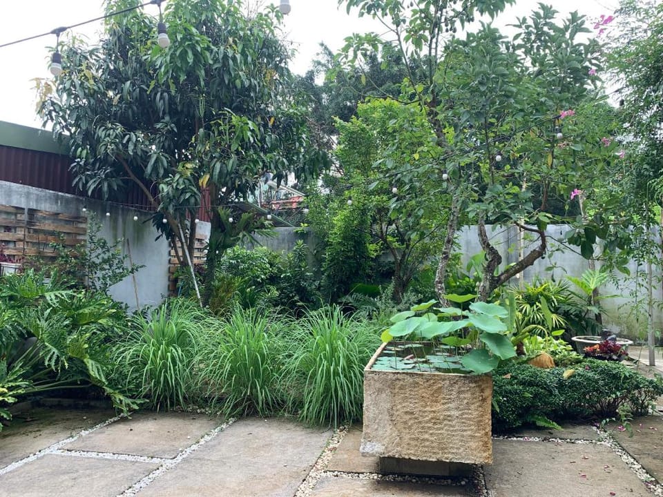 Balaz House Bảo Lộc  Villa in Lâm Đồng