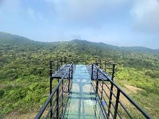 Coorg Tree House Vacation rental in Kerala