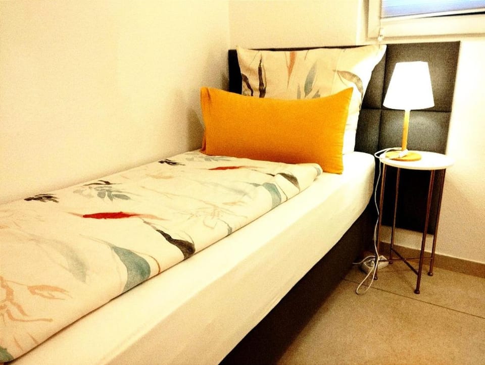RIVER VIEW NEAR FRANKFURT - 3 ROOMS-4 BEDS & 1 SOFA BED -AIR CONDITION- Private PARKING Apartment in Hesse