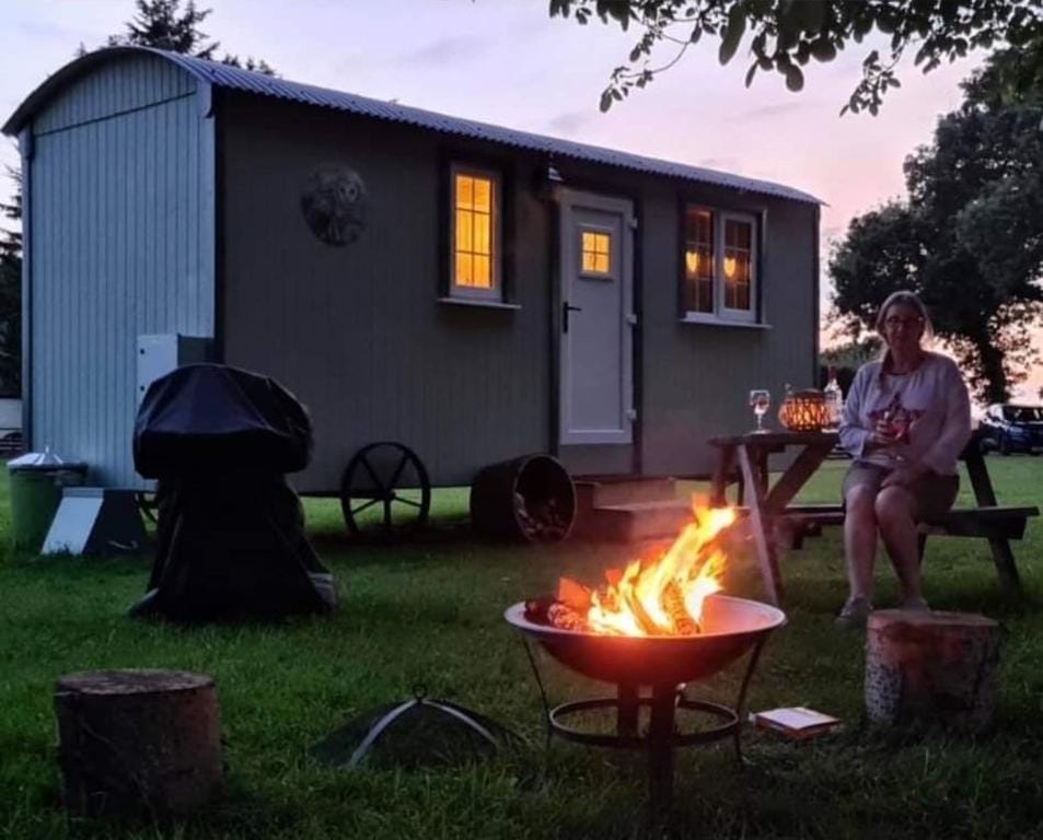 Starry Meadow & Rescued Animal Experiences Vacation rental in Broadland District