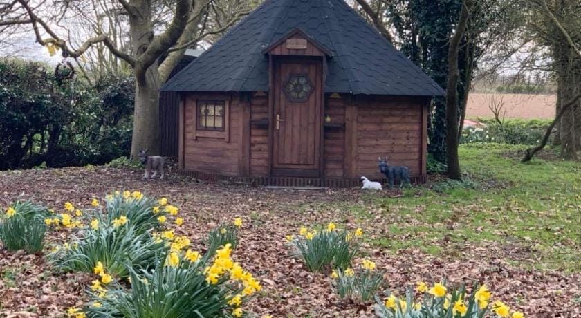 Starry Meadow & Rescued Animal Experiences Vacation rental in Broadland District