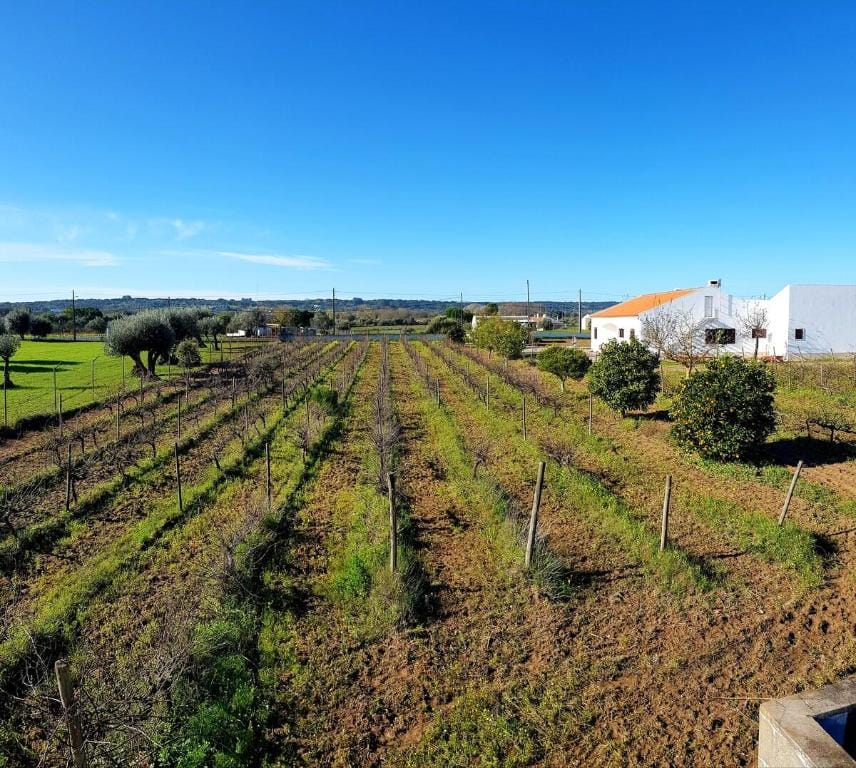 Quinta do Quartel Villa in Évora District, Portugal