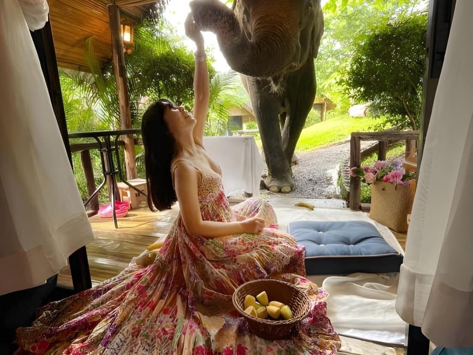 3 Pok Maewang jinxiang Gold elephant park Resort in Thailand