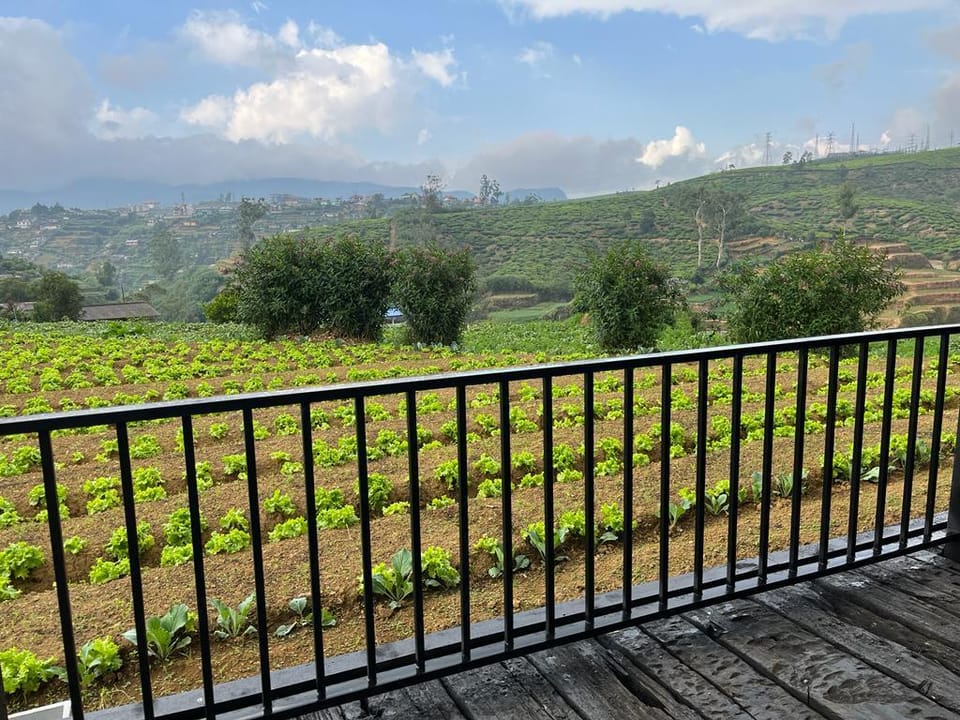 Grizzly Basin Nuwara Eliya, 1 Bed Room Eco Cabin Vacation rental in Nuwara Eliya