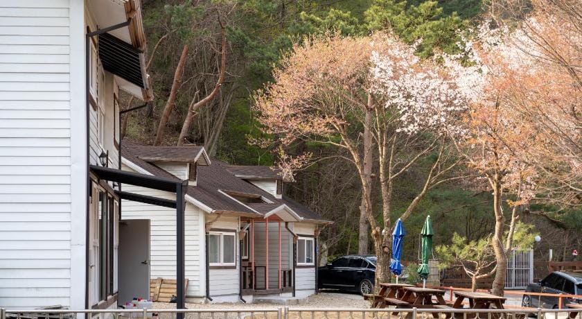 hongcheon river view sonamu pension Bed and Breakfast in South Korea