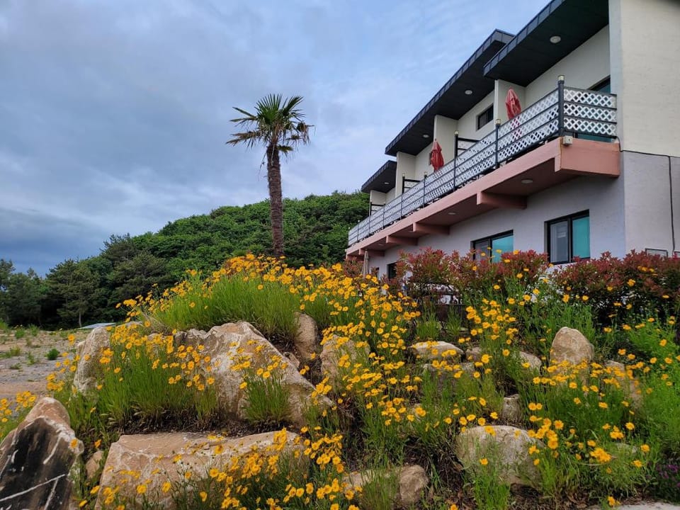 goheung goheung hilling pension Bed and Breakfast in South Korea