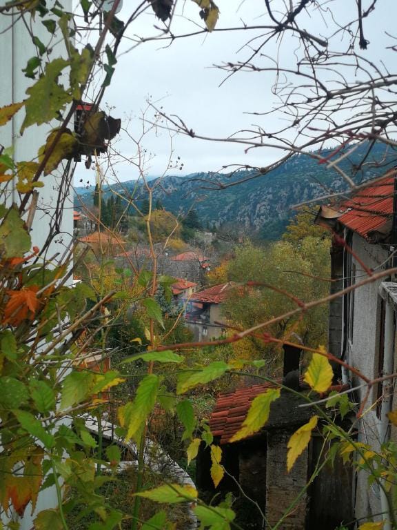 Dandy On The Hill in Eptalofos | Chalet Iris Vacation rental in Peloponnese, Western Greece and the Ionian