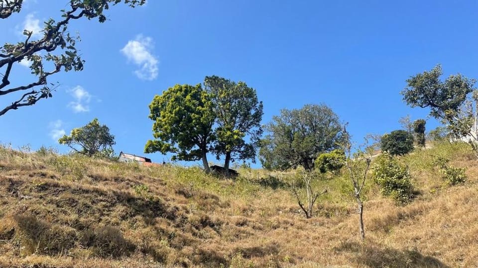 Ambua - a rare homestay in Corbett Vacation rental in Uttarakhand