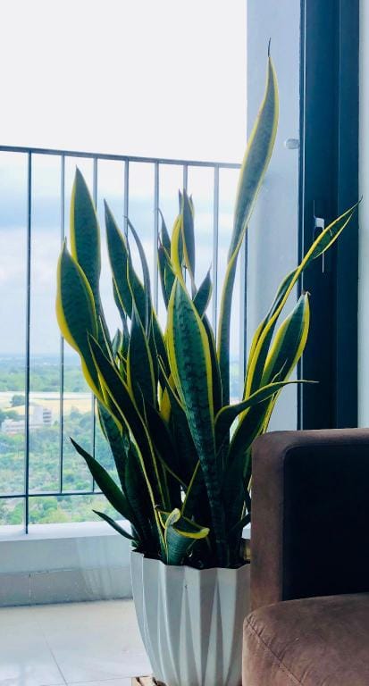 Suite Room in Aki’s Condo Apartment in Ho Chi Minh City