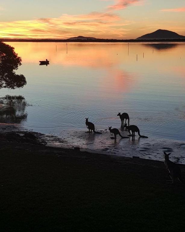 Still the "Bays" best kept Secret.. Vacation rental in New South Wales
