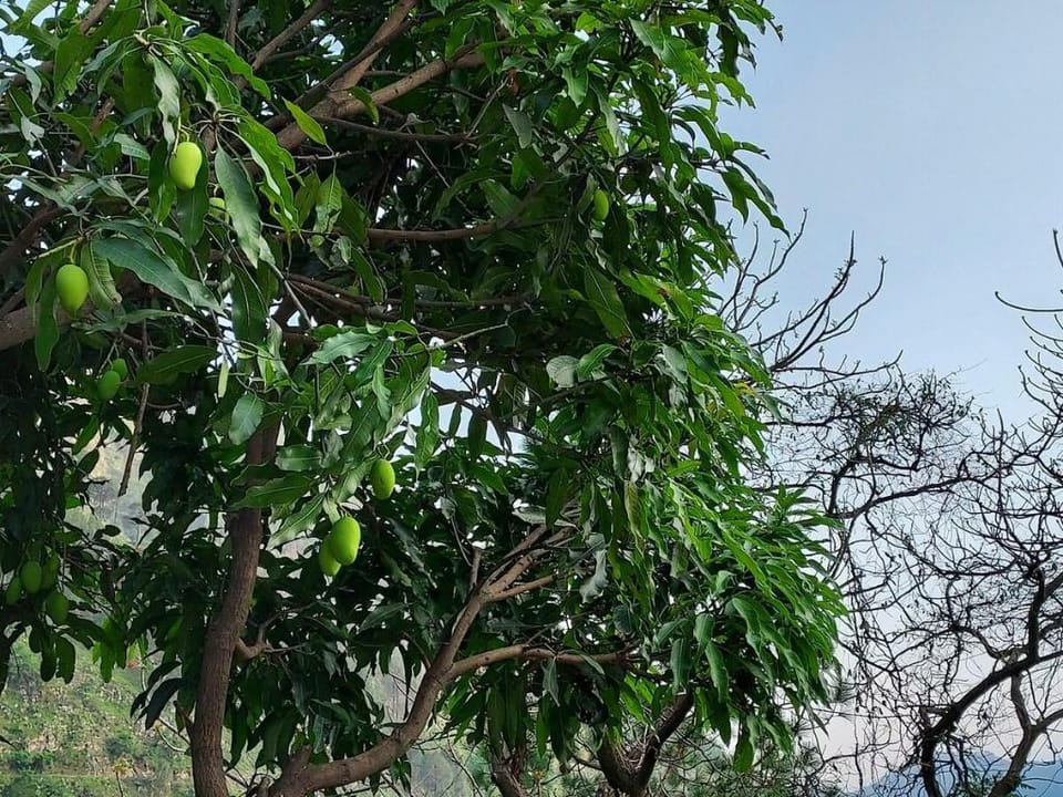Phulari House- Heart in Hills Vacation rental in Uttarakhand