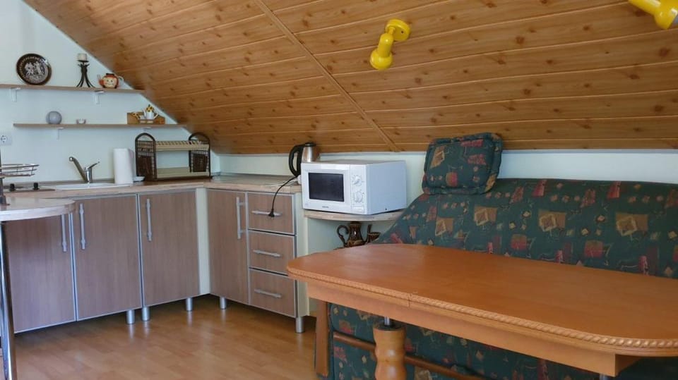Rest Carpathians. Entire apartment in Tatariv Apartment in Ukraine