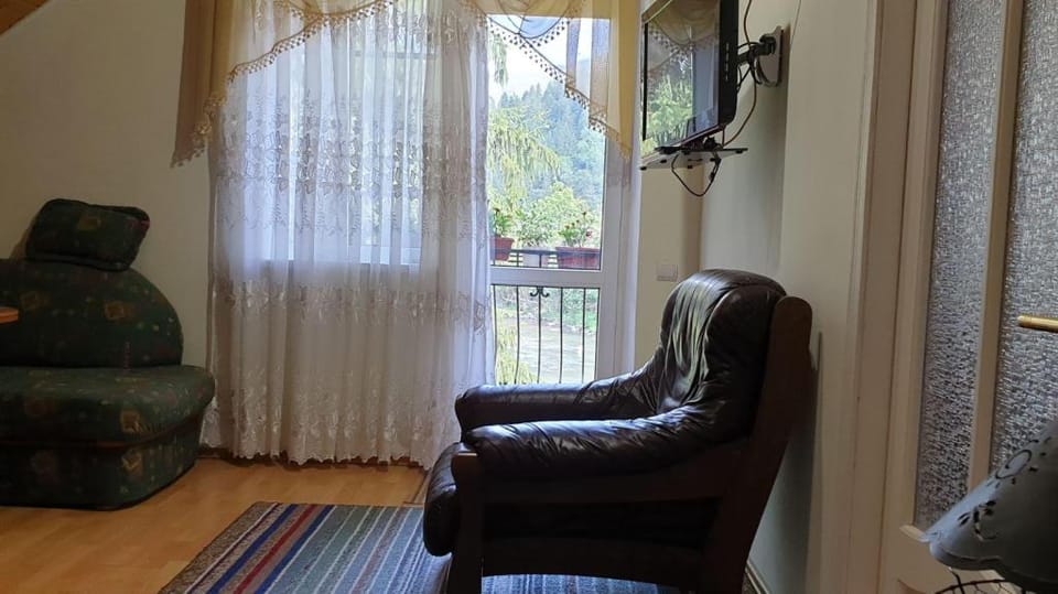 Rest Carpathians. Entire apartment in Tatariv Apartment in Ukraine