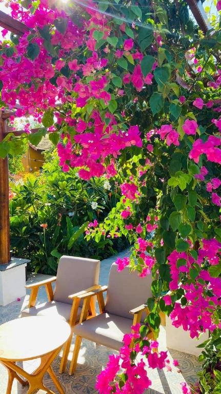 Coco beach house Villa in Phan Thiet