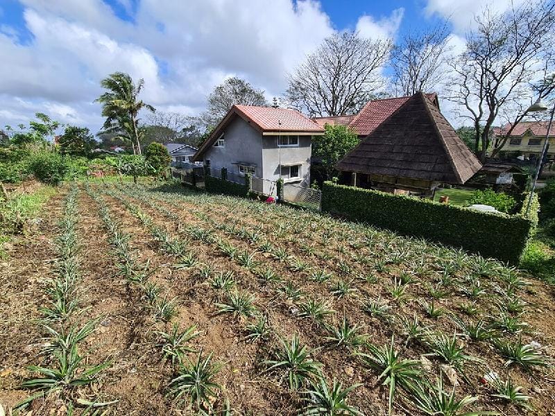 Patio Elisabel Rest House for Rent in Tagaytay Vacation rental in Tagaytay
