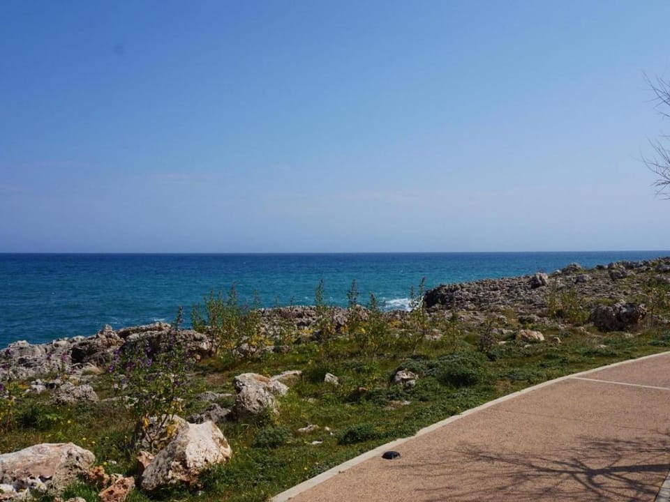 Cas Bufador Apartment in Llevant