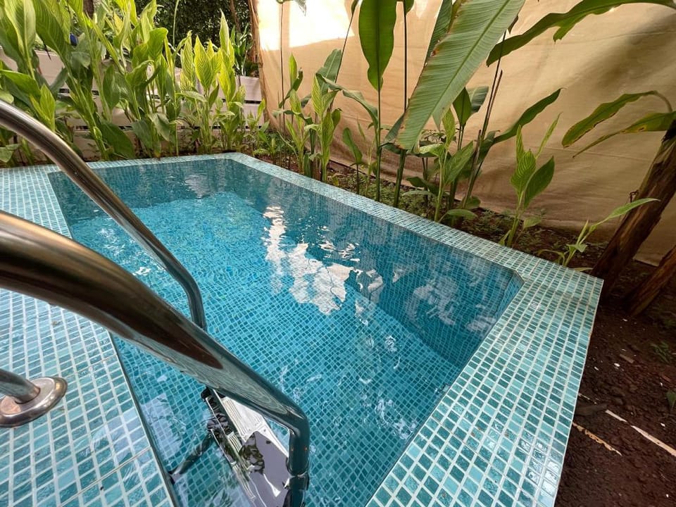 Cosy 2 Bedroom villa with Private Plunge Pool Villa in Candolim