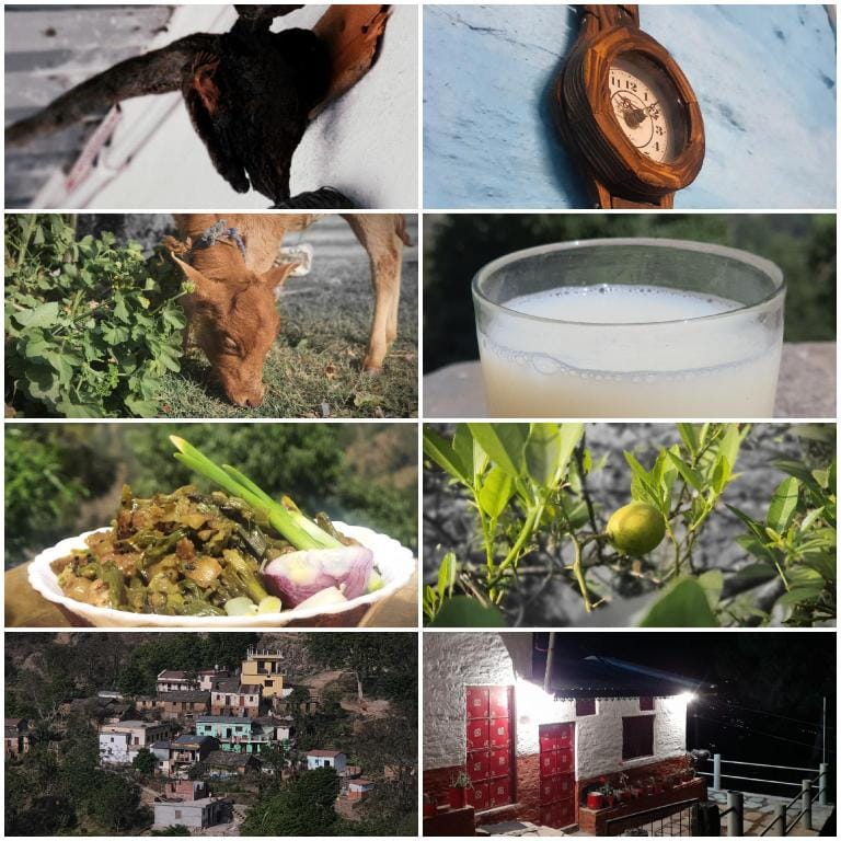 DANDA BASERA Homestay  Vacation rental in Uttarakhand