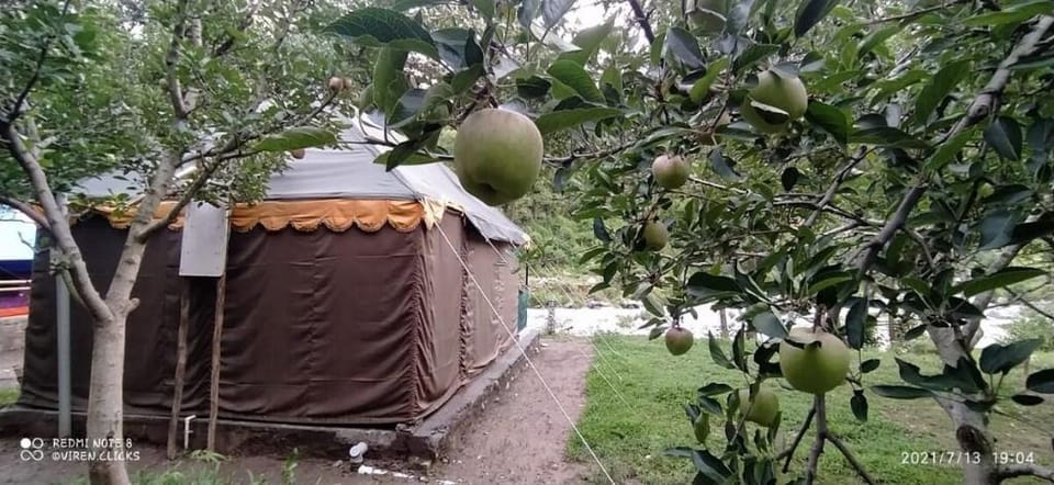 Alpine T-2 with comfortable floor bedding Vacation rental in Uttarakhand