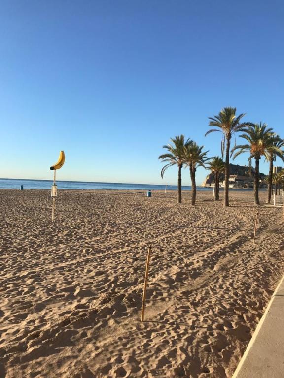 Benipenthouse - Juliette Room with Garden View Apartment in Benidorm