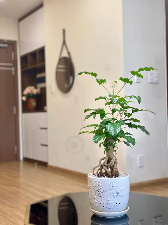 Ivy Apartment - Cozy 2-bedroom for Halong Getaway Apartment in Laos