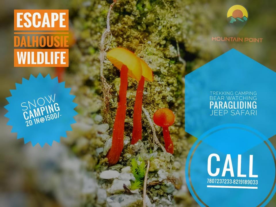 Dalhousie Trekking and Camping Vacation rental in Himachal Pradesh