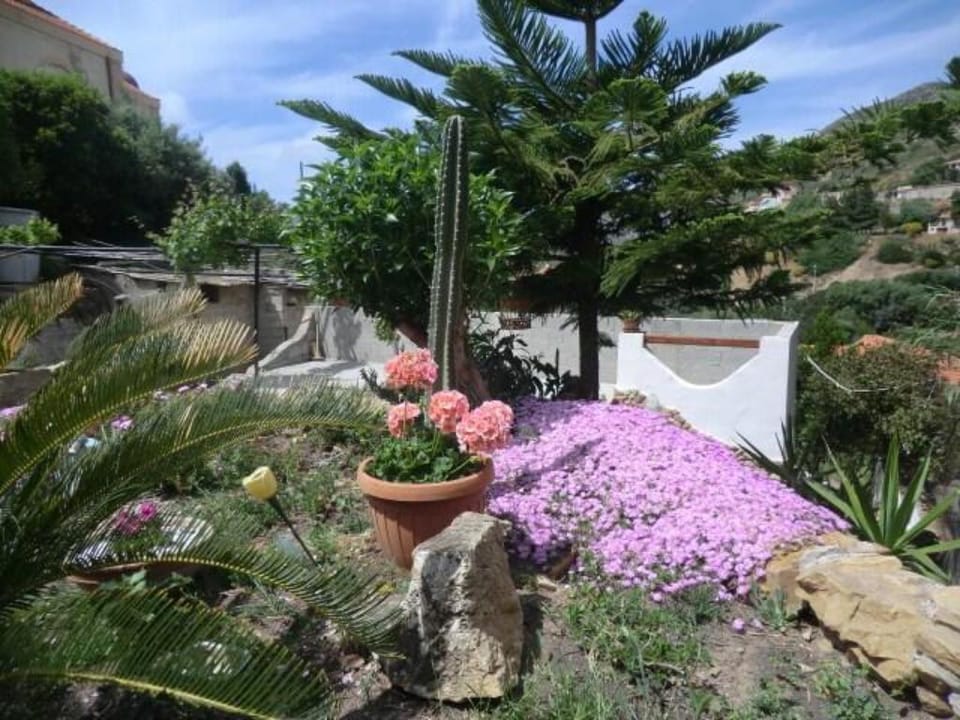 Sa Corte Antiga  Vacation rental in Sardinia