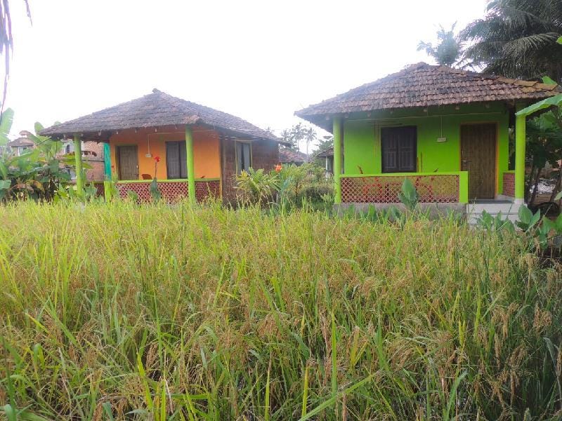 Green heaven cottage Vacation rental in Karnataka