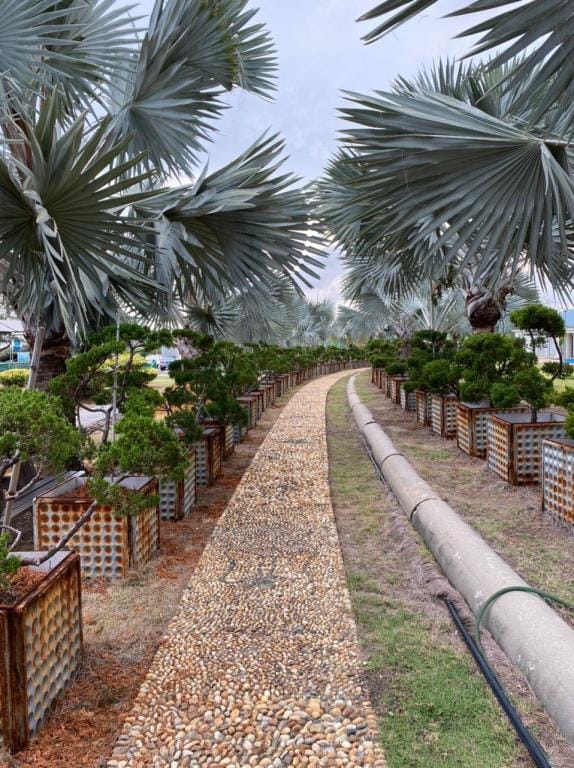 Marina Island D'homestay - Family Suite Apartment in Perak