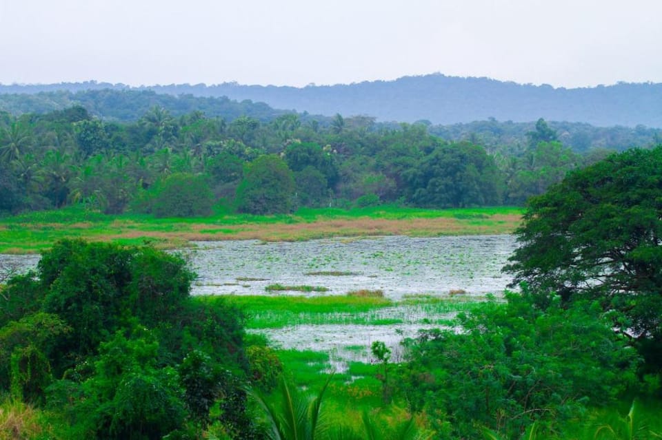 Three Elephants Holiday Inn Vacation rental in Dambulla