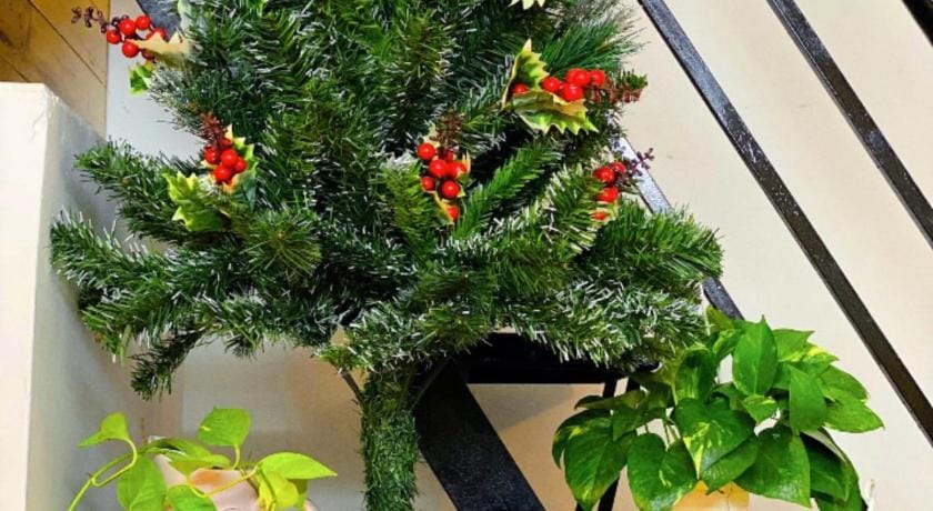 Maneki Neko Homestay * Yên tĩnh - Ấm cúng - Chill Vacation rental in Ho Chi Minh City