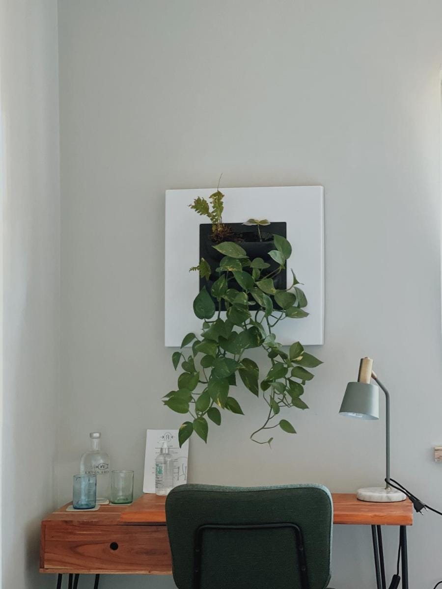 Luna House & Cowork Bed and Breakfast in Cascais