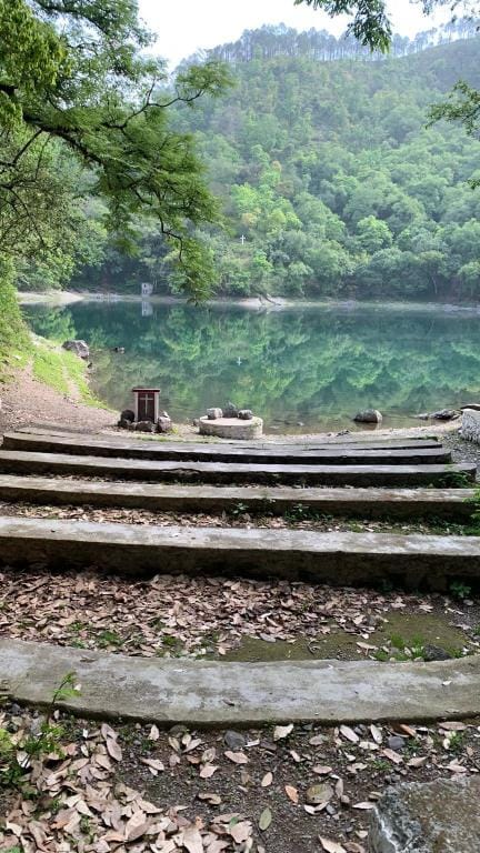 Birdside homestay Vacation rental in Uttarakhand