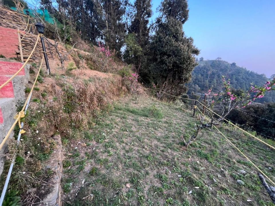 WHISTLING WOODS CAMPS AND RESORTS Apartment in Uttarakhand