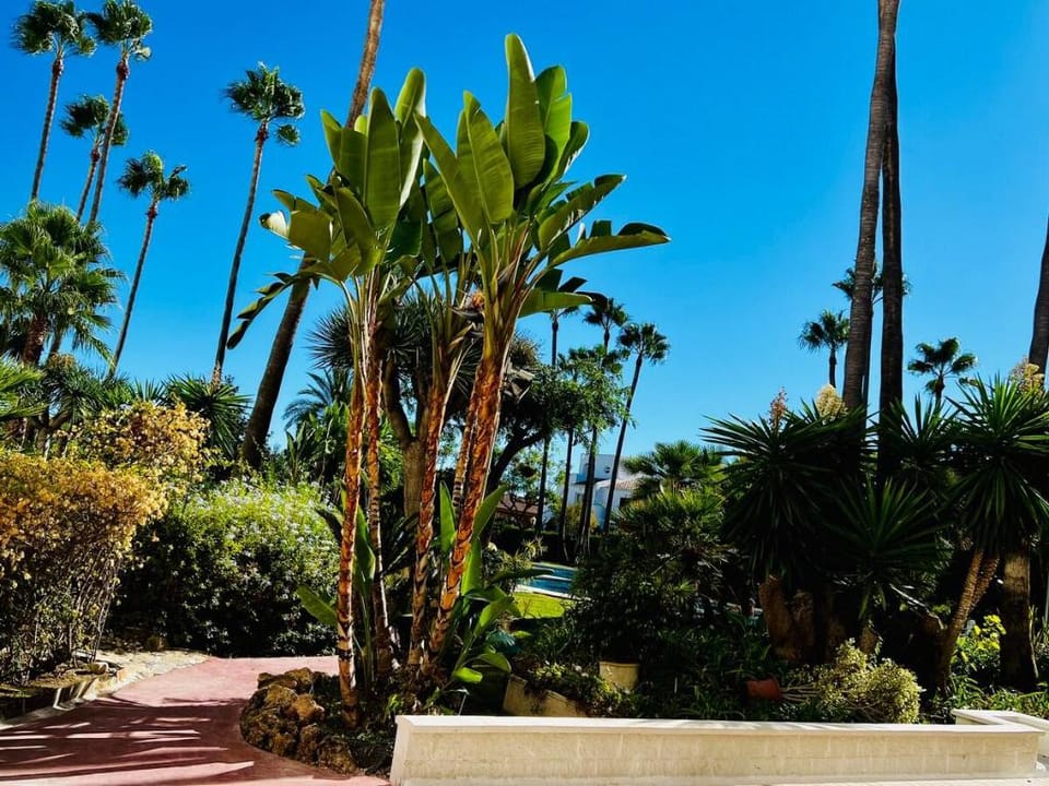 Nordic Royal Club Apartment Vacation rental in Costa del Sol