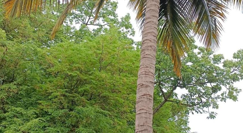 Gharat Cottage Vacation rental in Alibag