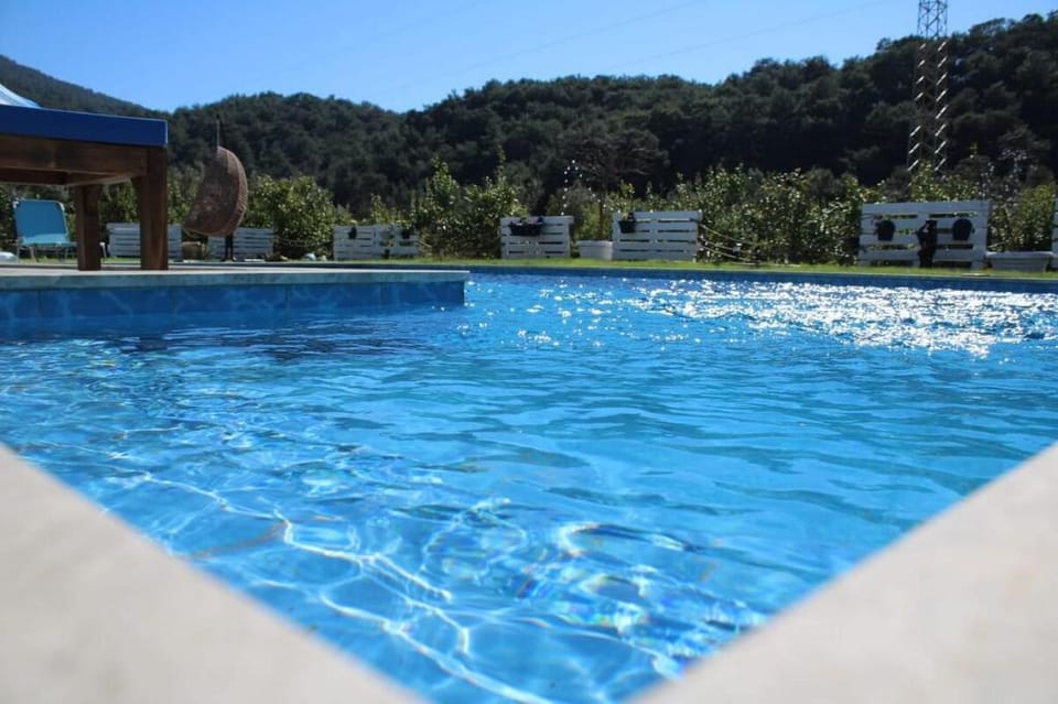 Villa Dionyssos/Country Style Villa in Dalyan Villa in Muğla Province
