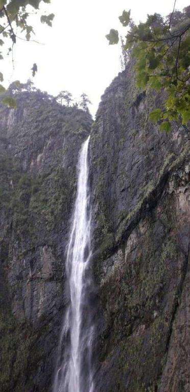 Chakund Homestay
 Vacation rental in Himachal Pradesh