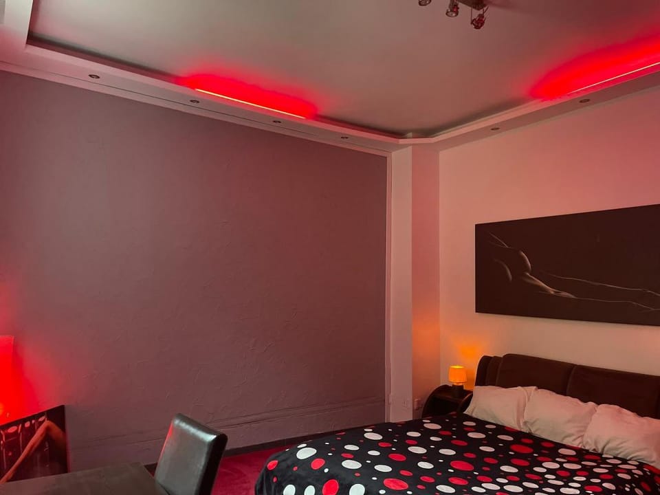 ROOM 35 - Cozy Studio in CityCenter + Big Garden! Apartment in Brasov