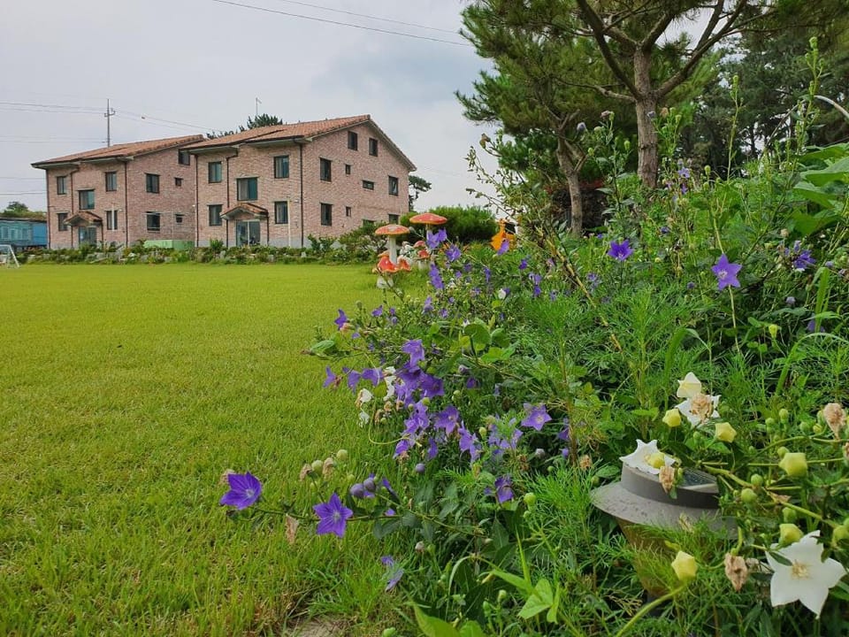 Iksan haneulsup pension Bed and Breakfast in South Korea