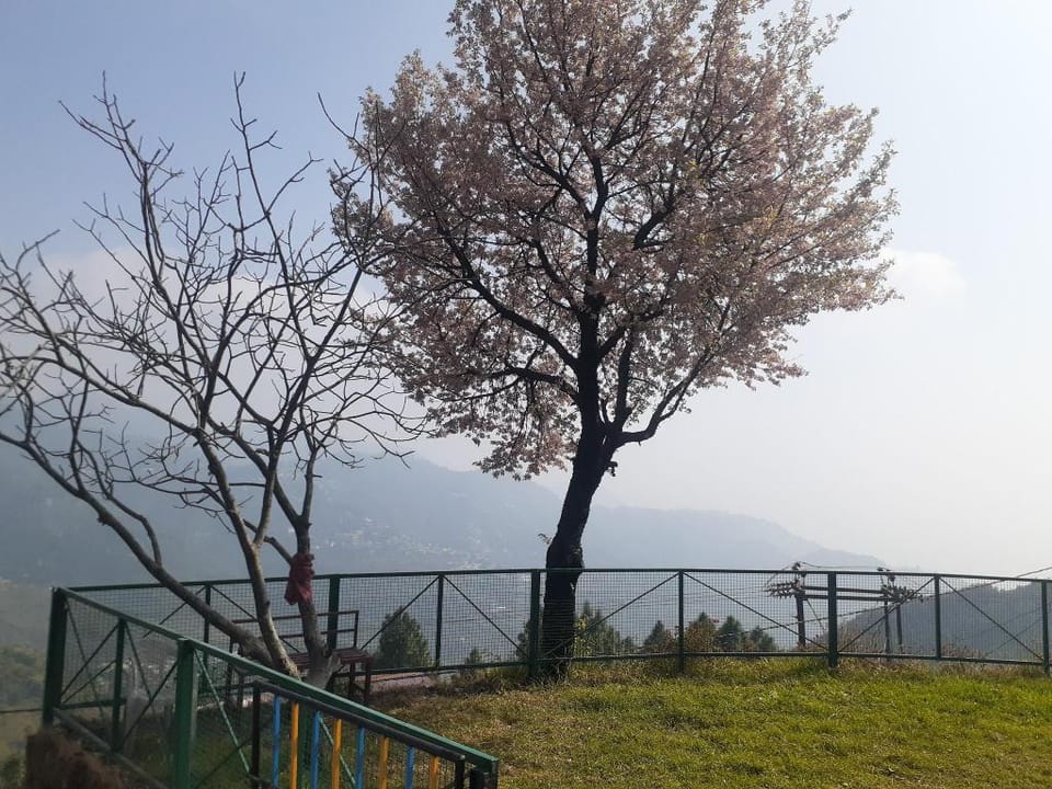 SUHANI mountain view rooms  Vacation rental in Uttarakhand