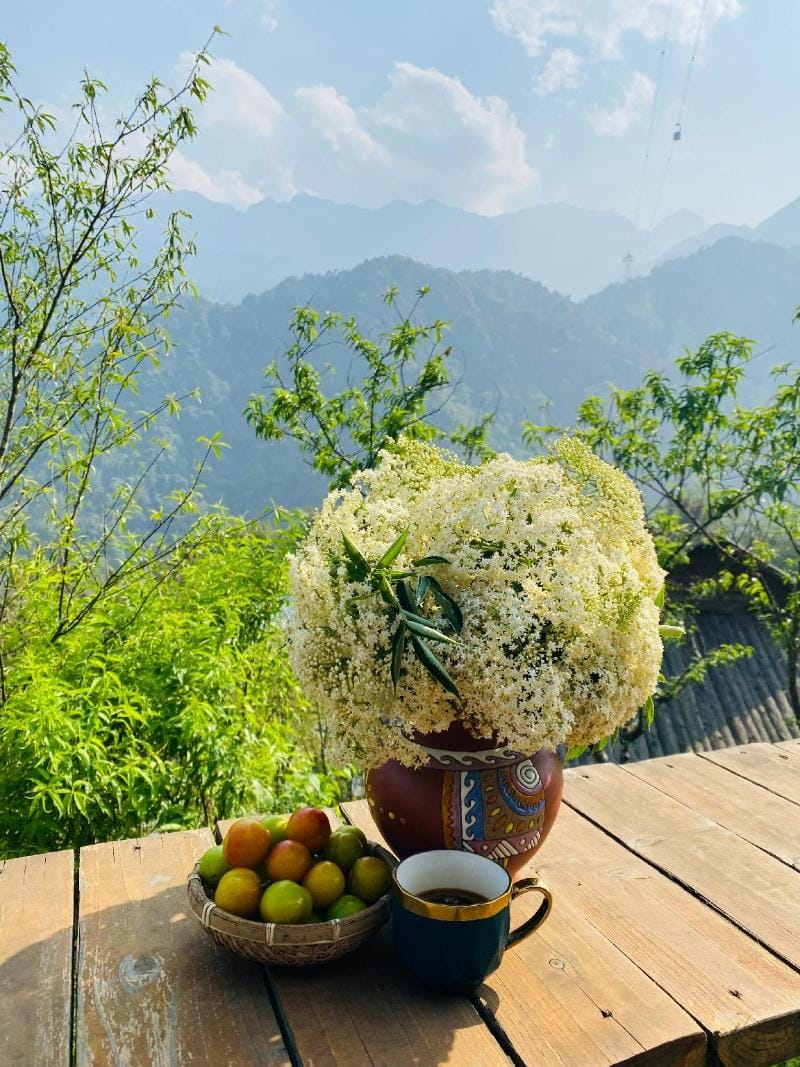 Alsace Homestay Sa Pa Vacation rental in Laos