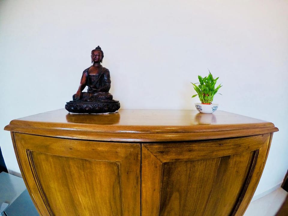 Octopus Luxury Apartment for (4-6pax) Apartment in Baga