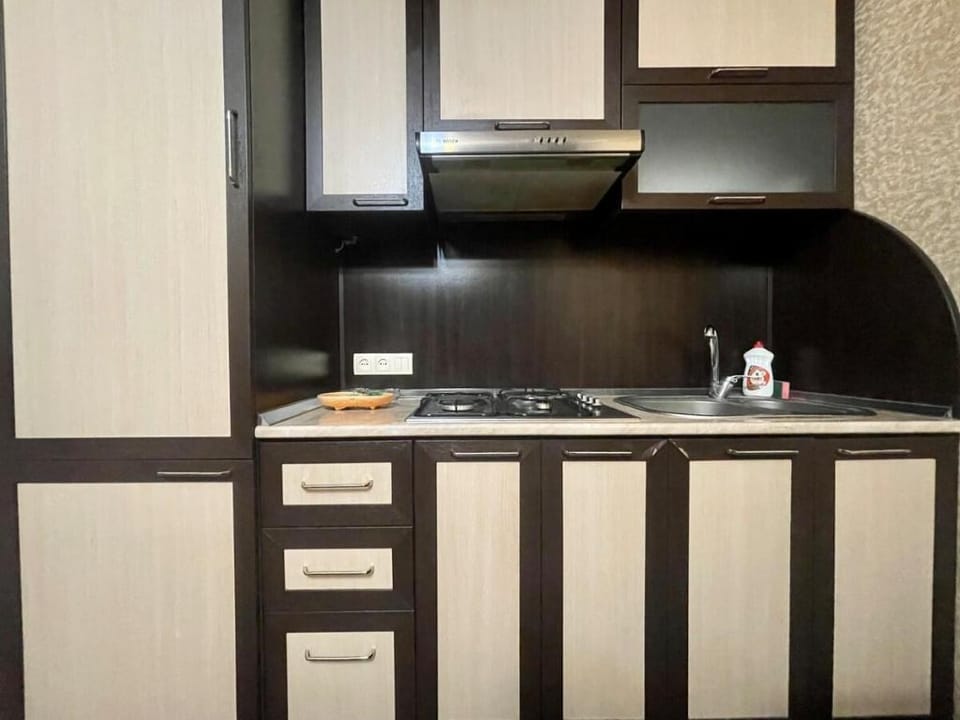 Tumanyan Street, With Balcony. Very Center Yerevan Apartment in Yerevan