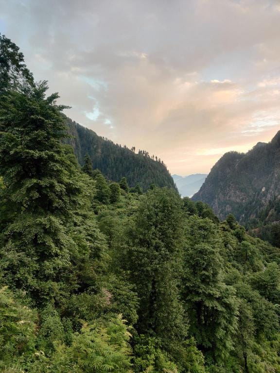 The Woods Cottage Vacation rental in Himachal Pradesh
