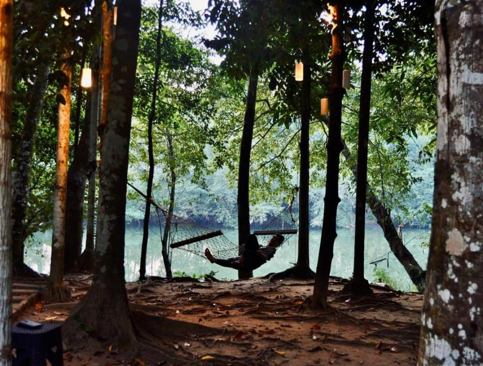 Kuruvis Nest  Vacation rental in Kerala